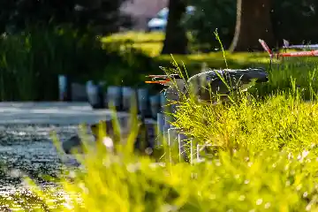 Héron, poisson en plein vol.
