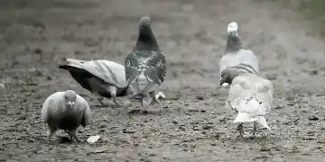 Au boulot !