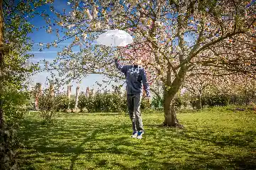 Parapluie