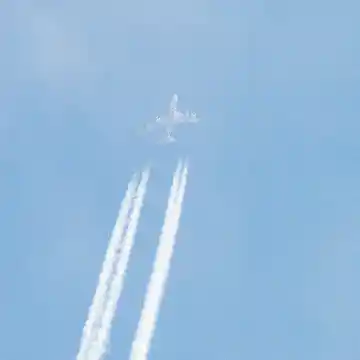 Avion